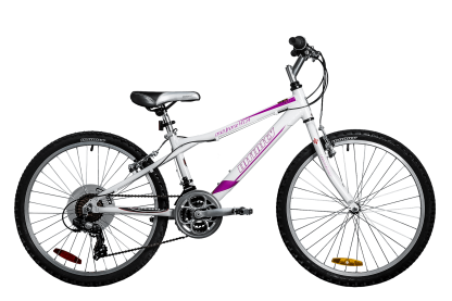 HT24 Destiny - 2018