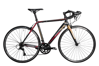 Boss XR two